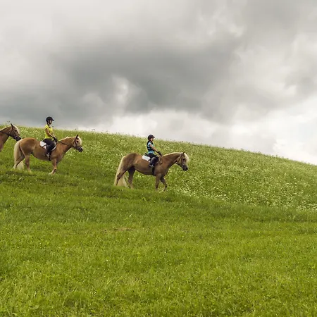Beim Hochfilzer Superior 4 Sterne Söll