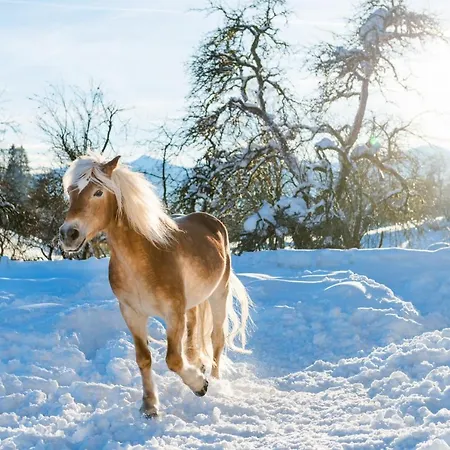 Beim Hochfilzer Superior 4 Sterne Hotel Söll