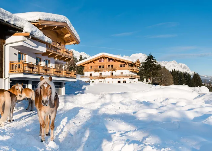 Otel Beim Hochfilzer Superior 4 Sterne